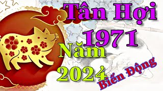 Tân Hợi 1971 Năm 2024 Sẽ Có Nhiều Biến Động Trong Năm Này Cần Tìm Hiểu Trước