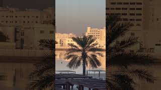 Zayed Masjid from Long Distance