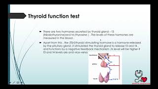 8-Thyroid Function Test