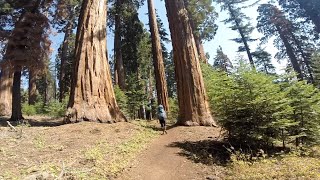 Sequoia and Kings Canyon National Park Backpacking