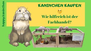 Kaninchen kaufen