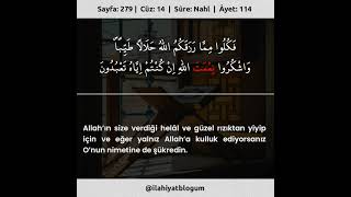 Nahl Sûresi 114. Âyet | Allah'ın size verdiği helal ve güzel rızıktan yiyip için... #shorts