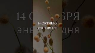 14 октября #гороскопнасегодня #прогноз #энергообмен #луна #гороскоп #затмение