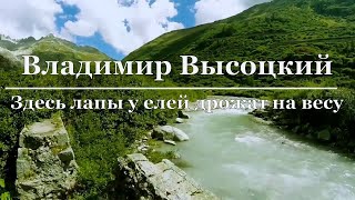 Владимир Высоцкий - Здесь лапы у елей дрожат на весу