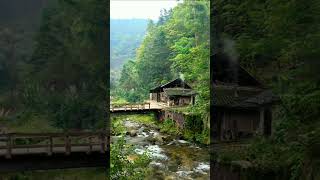 Forest Village || Full green mountains || China Forest Village house || Nature 4k video