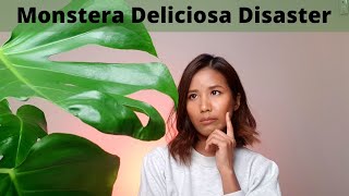 Monstera Deliciosa disaster | Avoid these mistakes with your Monstera | Trying to save my Monstera