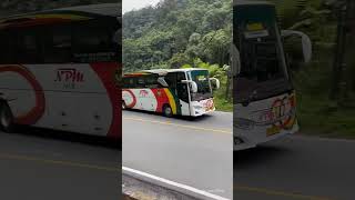 bus NPM pelari lintas sumatra #bus