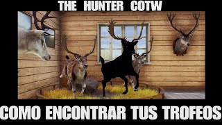 WOTH COMO ENCONTRAR TUS TROFEOS. WAY OF THE HUNTER Español