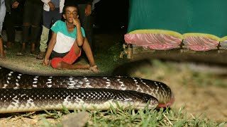 सावधान! बिस्तर में चुपके घुस कर ये आप को मौत की नींद सुला सकता है।Higly venomous Common Krait snake