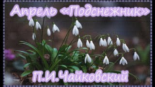 Апрель"Подснежник" – #П И Чайковский / Монах Авель/ # P I Tchaikovsky – #April «Snowdrop»