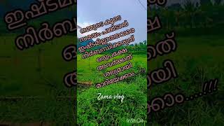 ശല്യമായി മാറിയേക്കാം Malayalam Motivation tips# viral short video #Zama vlog