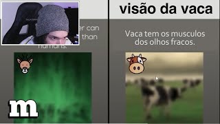 MEIAUM VENDO COMO OS ANIMAIS ENXERGAM