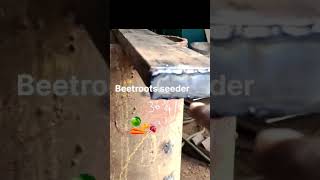 beetroots seed Sower