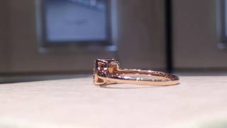 Chocolate & White Diamond Ring in 14k Rose Gold