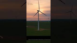 Harnessing Nature's Power The Rise of Wind and Solar Farms in the Renewable Energy Revolution