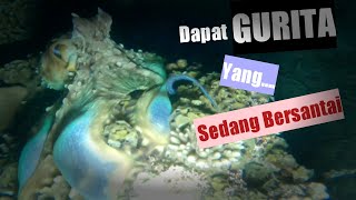 1 Jam Panah Ikan Malam hari dapat 2 Ekor GURITA.Night Spearfishing