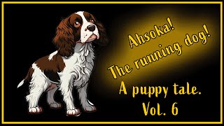 Ahsoka, the running dog, a Springer spaniel tale! vol6