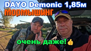 Кобона: ГДЕ РЫБА? ДЖИГ, ТВИЧ и МОРМЫШИНГ с Dayo Demonic 1,85м 0,2-2 гр #мормышинг