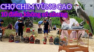 CHỢ CHIM CẢNH VÙNG CAO 10 ĐIỂM KHÔNG CÓ NHƯNG