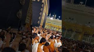 Makah live