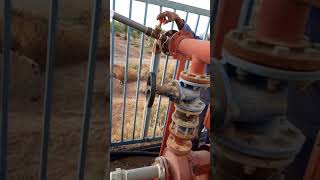 Water pump system