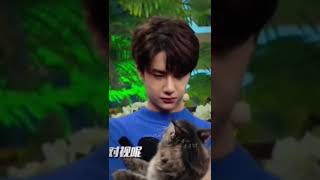 Animal Lover 🥺 #wangyibo #cutemoments #coolguy #animallover