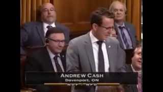 NDP MP Andrew Cash takes on Minister Alexander for Unconstitutional Citizenship Bill