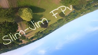 Virtual insanity - fpv reality