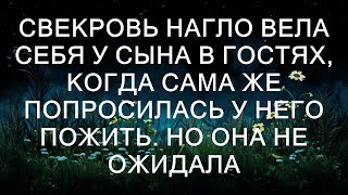 Свекровь нагло вела себя у сына в гостях, когда сама же попросилась у него пожить. Но она не ожида