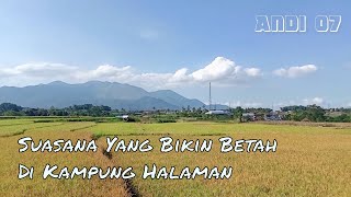 Pemandangan Sawah yang Indah || Beautiful Rice Fields and Nature Scenery