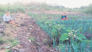 PETANI TRANS sedang live sekarang!