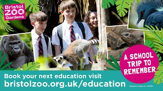 A school trip to remember at Bristol Zoo Gardens