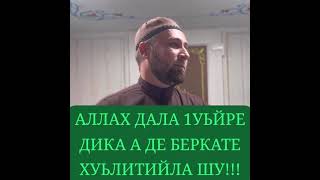 Проповедь! На чеченском языке! Мудрые слова! Религия Ислам! ☝☝☝#shorts#allah#azan#islam#muslim#чечня