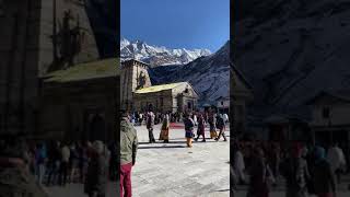 केदारनाथ मंदिर का ये नजारा आज आप भी देख लो // ,Har Har Mahadev Shiv Shankar #shorts