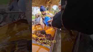 Organic Jaggery Making Process with Sugar Cane Juice #OrganicJaggery