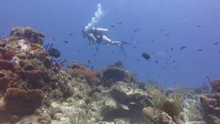 First Scuba Dive!! Cozumel