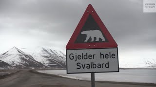 Vaker oog in oog met ijsbeer op Spitsbergen: 'Levensgevaarlijk'