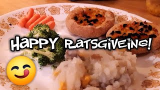 Makeing My Pet Rats A Thanksgiving Dinner!