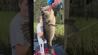 Lake Henderson FL Bass