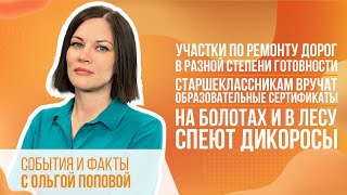 В городе продолжается ремонт дорог. Старшеклассники в числе обладателей сертификатов на обучение.