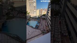 Holidaymakers Swarm Like Ants for Benidorm Sunbeds || Dogtooth Media