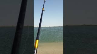 Fishing with rc boat