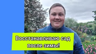 Мои  цветочные новинки.Высадка многолетников.