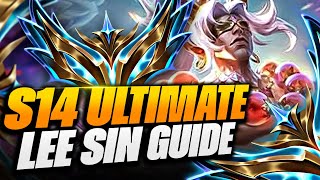 LEE SIN Guide - How to LEARN and Carry With LEE SIN step by step - Challenger Details