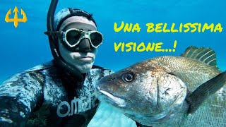 Pesca sub   :    🔱Una bellissima visione!(Spearfishing Sardegna)