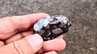 Rock Hounding at Harrisville State Park Beach in Harrisville, Michigan