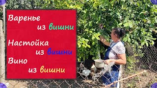 День вишни:  Варенье из вишни / Настойка из вишни / Вино из вишни / Деревенская жизнь