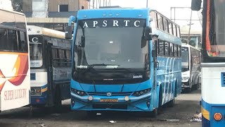 Star Liner | Sleeper Bus | Vijayawada to Kadapa | APSRTC