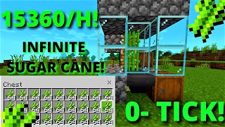 Easy 1.20 AFK AUTO SUGARCANE FARM TUTORIAL Minecraft Bedrock (MCPE/Xbox/PS4/Nintendo Switch/Win10)