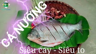 Giải trí cuối tuần| Anh em bắt cá nướng siêu cay, siêu ngon| Grilled fish| HV-T entertainment